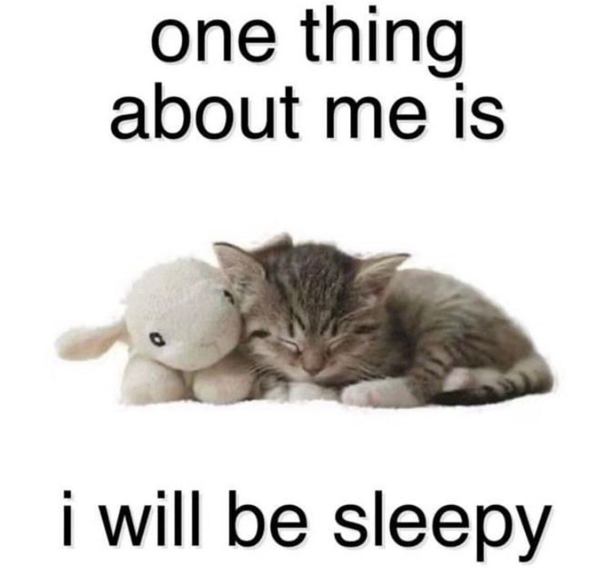WholesomeMemes (@wholesomememe) on Twitter photo 