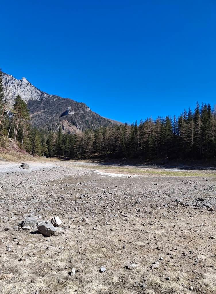 Thomas Reis tweet media