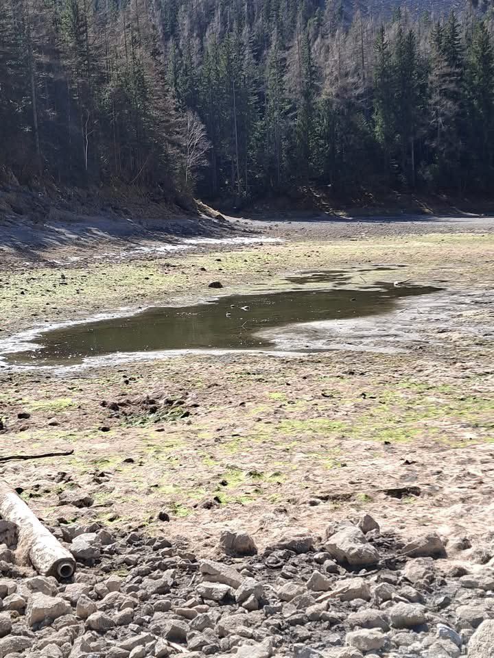 Thomas Reis tweet media