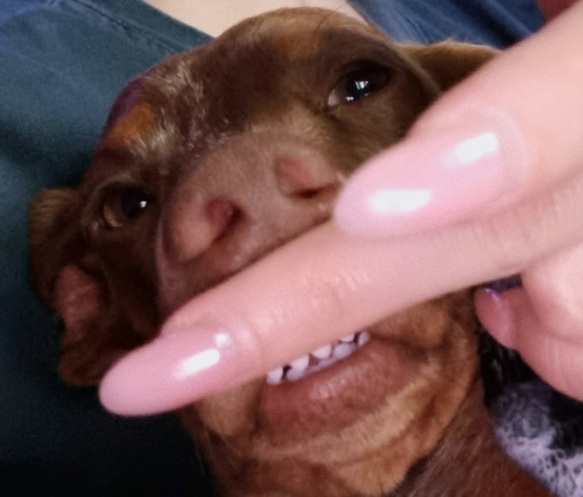 Which Finn are you today?