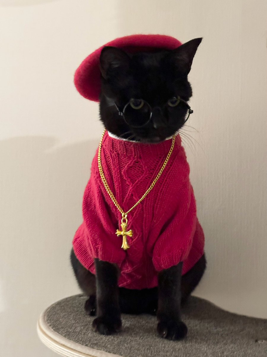 아차차 이건 트위터에 안 올렸네 서은주 추기냥