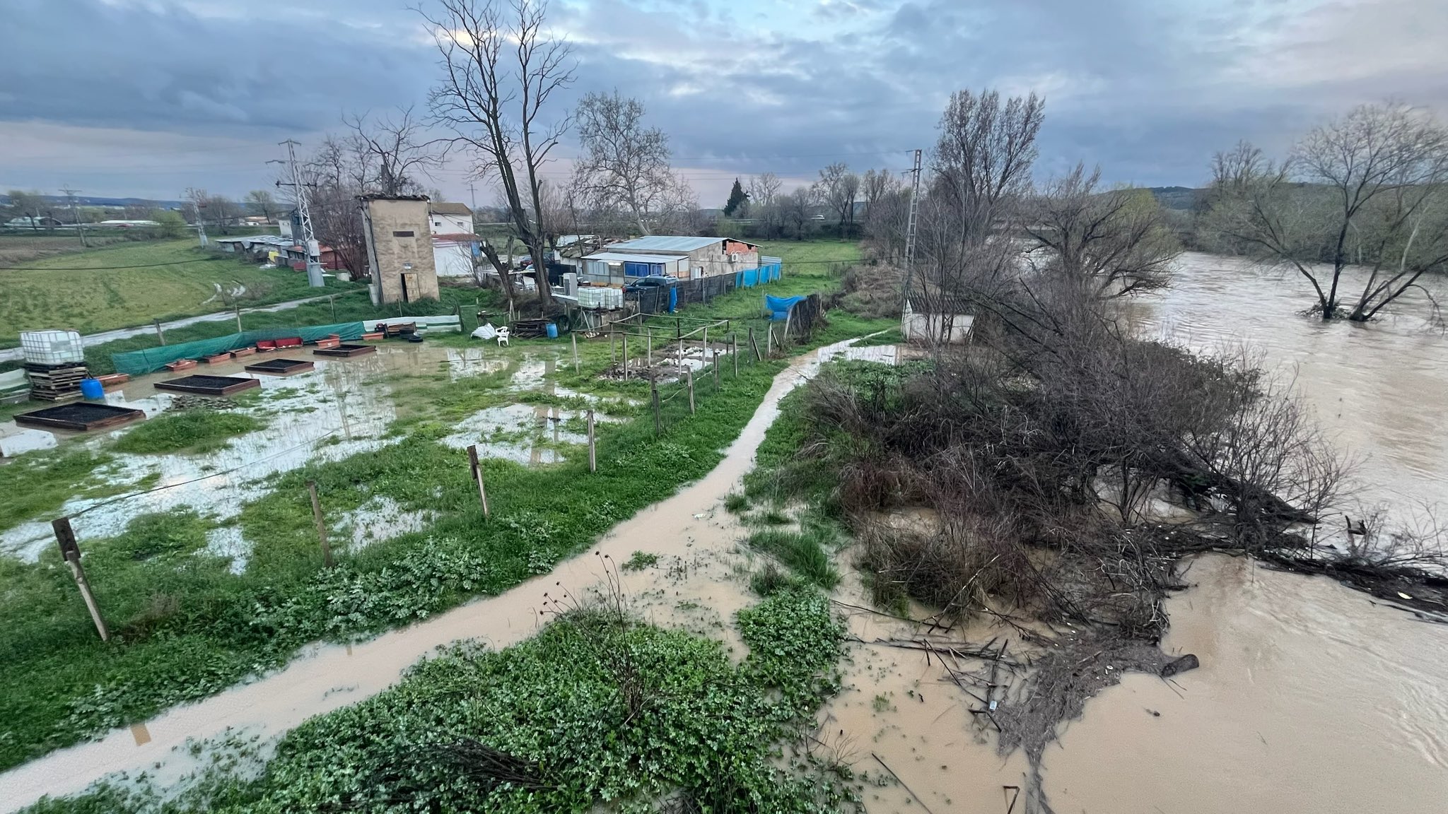 Foto cedida por Ayuntamiento de Mejorada