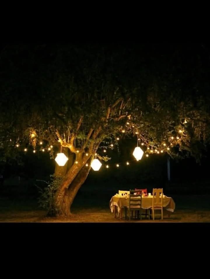 ClasicEquipment's tweet photo. ✨ Light Up Your Evenings with String Lights! 
🔥 Solar String Light - Ksh 9,500.
🔥 Electric String Light - Ksh 5,500.

☎ Order now: 0721275514.

#SolarPoweredLights #OutdoorVibes #EcoFriendlyDecor #StringLightMagic #GardenGoals #SustainableStyle #EveningGlow #solar https://t.co/plJP39udca