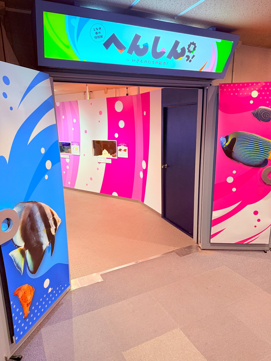 【中古】 中部の水族館/中日新聞社 水中楽園アクアリウム「謎ときんぎょ」｜2025年7月20日(日)～8月