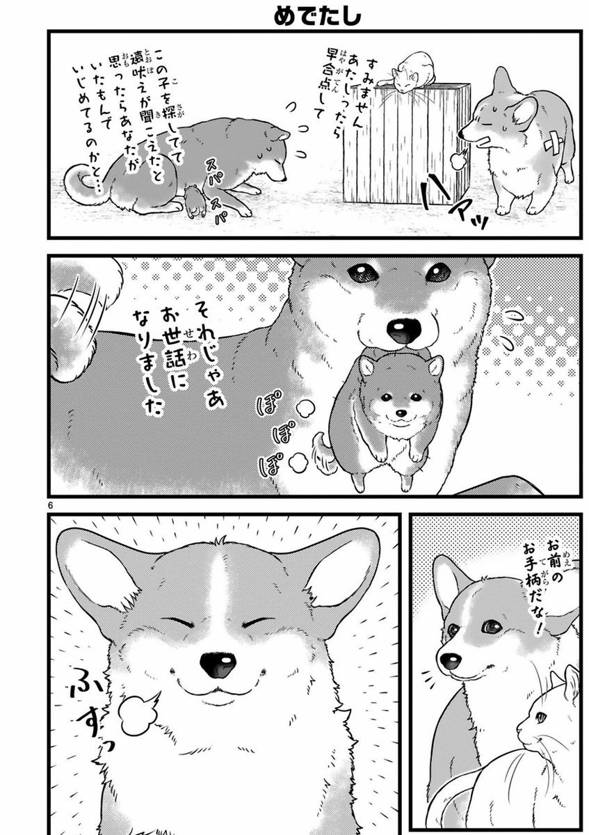 (2/2) 
