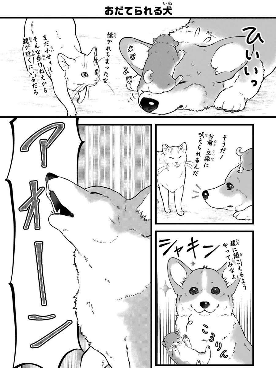 (2/2) 