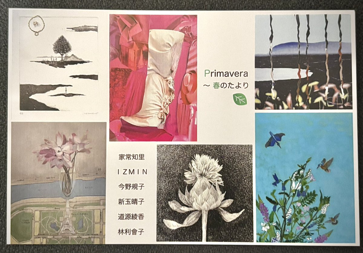 GALLERY HIPPO tweet media