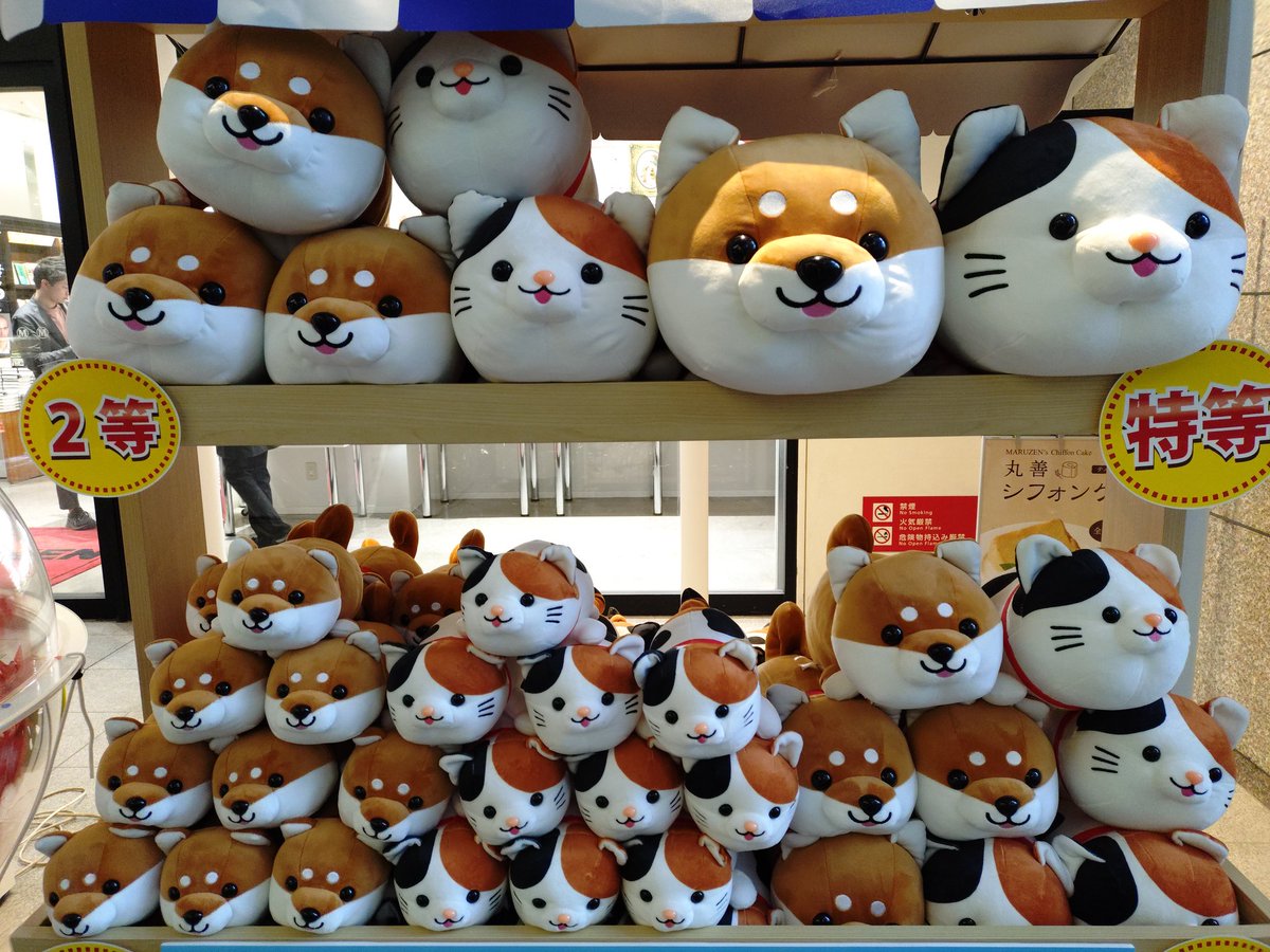 ✴️ハズレなし！✴️ぬいぐるみくじ🐶 3/22(土)〜3/30(日) 税込1000円