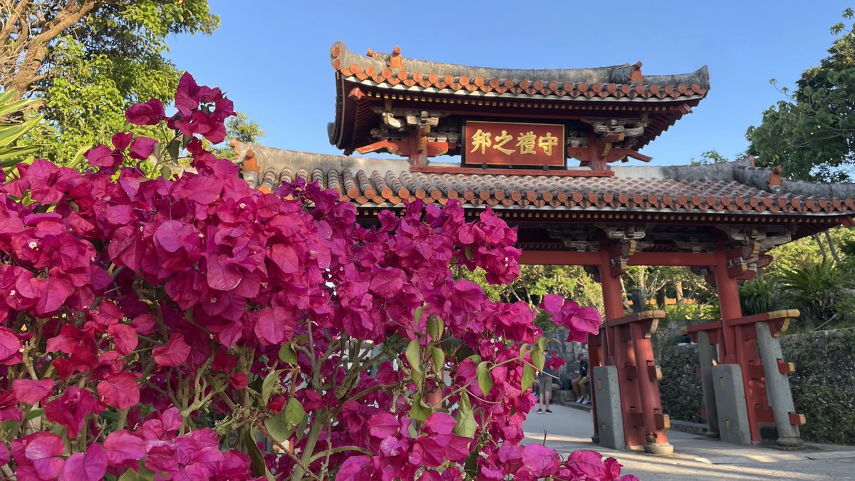 tachiban tweet media