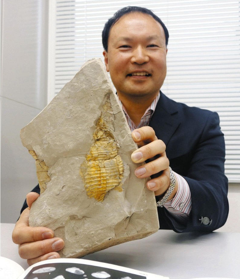 新種の巻貝化石、師崎層群から発見 東海高校地学部OBの方から東海化石