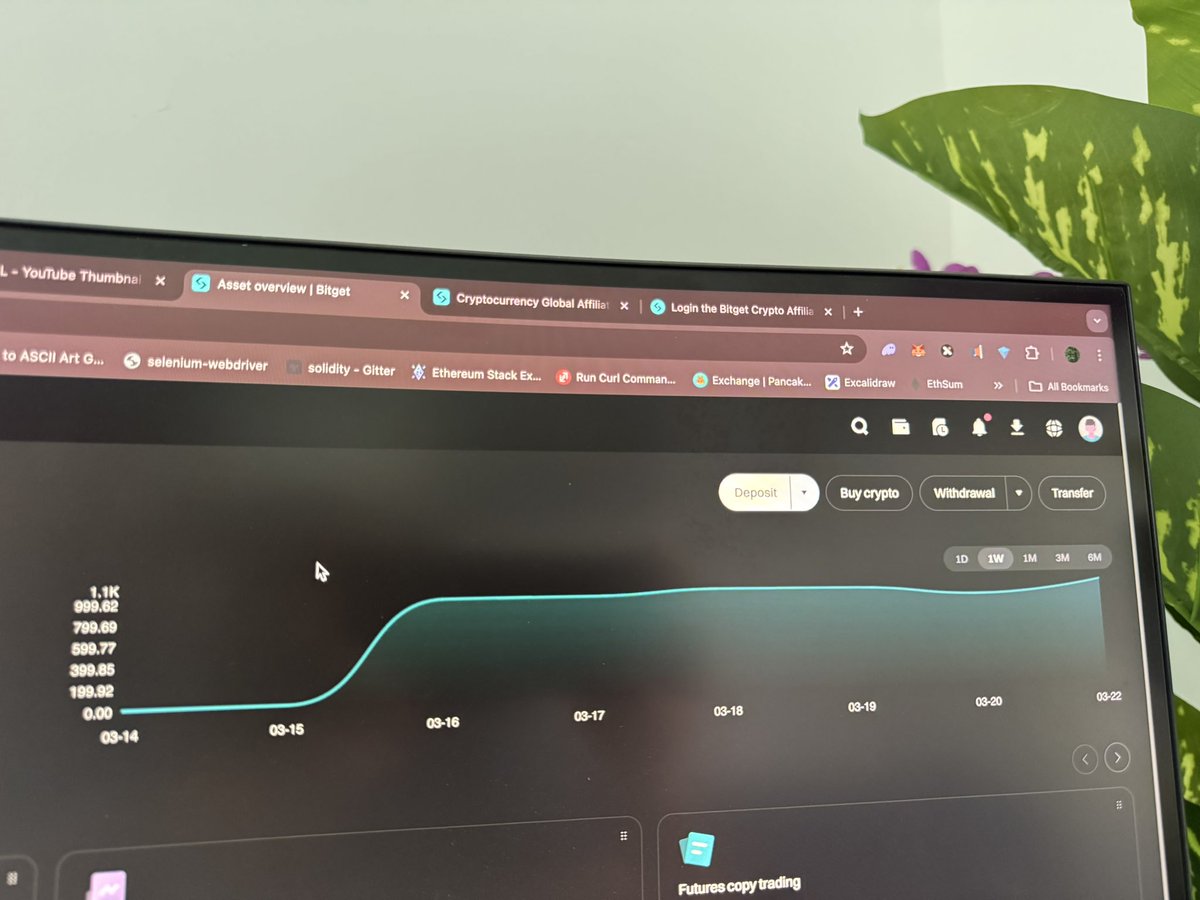 algoclient's tweet image. Boom! From flatline to flight 🐝💥 #AlgoBee’s performance this week is proof that momentum favors the prepared! #crypto #memecoin #trading #Bitcoin #Bitget