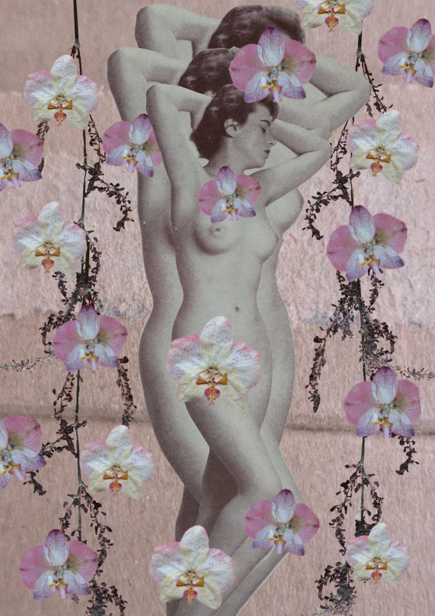 Gm and happy weekend!
I am not around so much, because of IRL events, some good some not so good.
Anyway, the sun is out, so enjoy the day everyone!