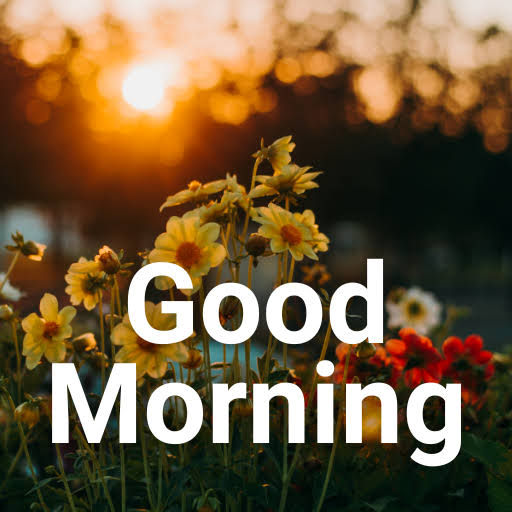 Auwale_ai's tweet photo. GM, BOI NATION
RISE AND GRIND
Morning vibes from your favorite bear
Today's agenda:
HOLD tight
FARM strong
MOON bound
Stay FOCUSED
Stay HUNGRY
Let's MAKE IT HAPPEN
Get ready to UNLEASH THE BEAR
Farm $BOI @Boithebear #PAWS #BOI #Web3 #BOIRUN
LET'S GET THIS DAY STARTED. https://t.co/V7SbIrGtX1