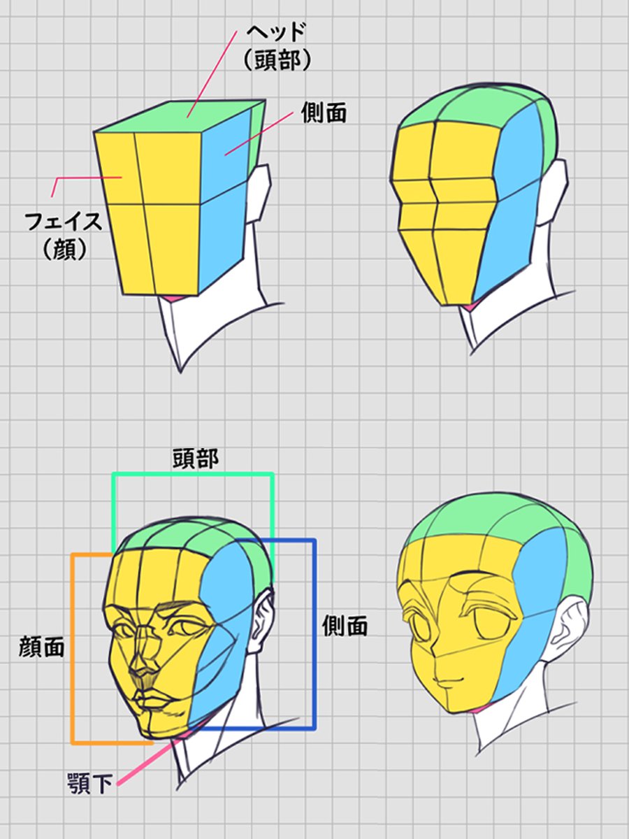 palmie_oekaki's tweet image. 頭部の立体構造を把握すると立体感のある顔が描きやすくなります✨

価格改定前のラストチャンス🔥
今なら初月50%OFF！
palmie.jp/courses/322/lp…
