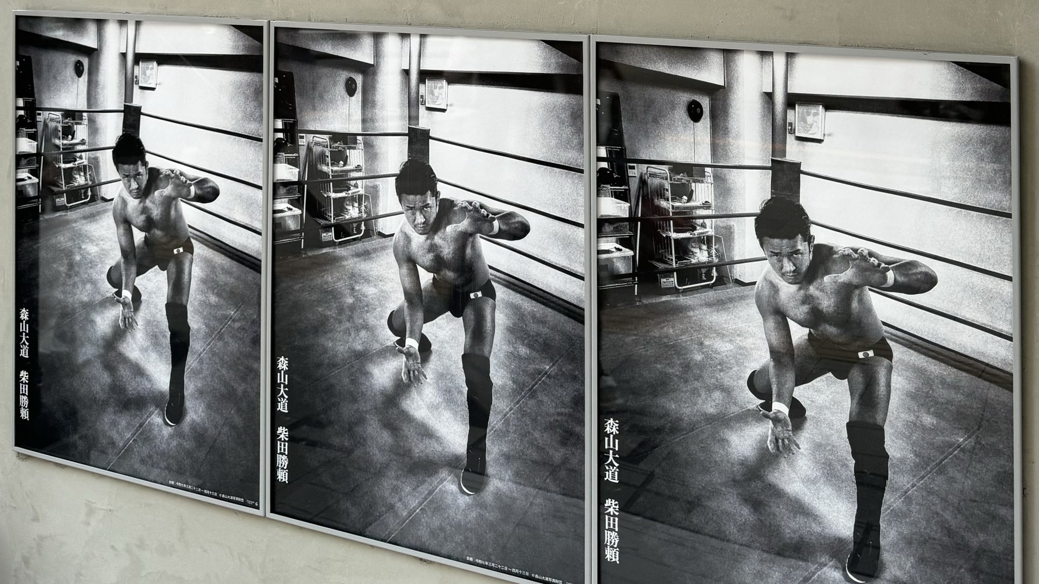 柴田勝頼 / Katsuyori Shibata (@K_Shibata2022) / X