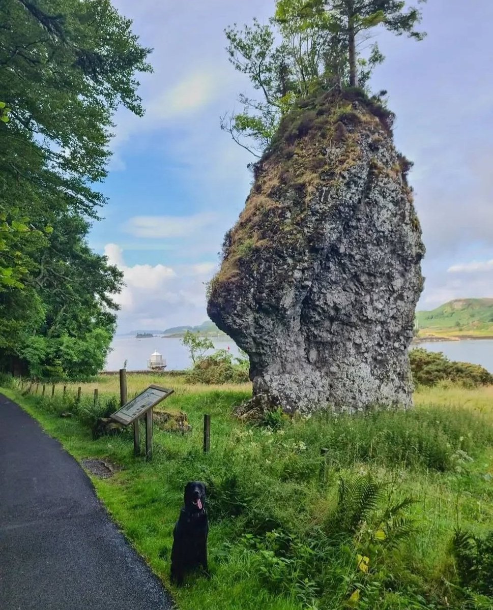 Scotland's Stories - Graeme tweet media