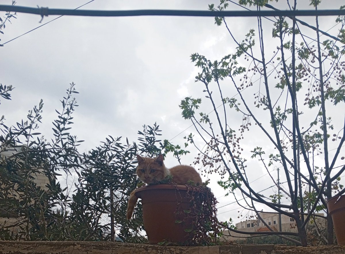 BndQNeverMiss's tweet photo. Okay ain't watering my plants today https://t.co/cdsxSN7pUs