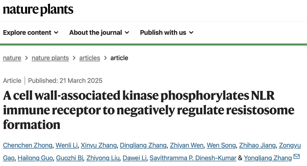 The discovery of the resistosome was a milestone in plant immunity. Here, we identify a kinase that phosphorylates the NLR, and reveal how this kinase regulates resistosome assembly to fine-tune immune responses. rdcu.be/eeuCr