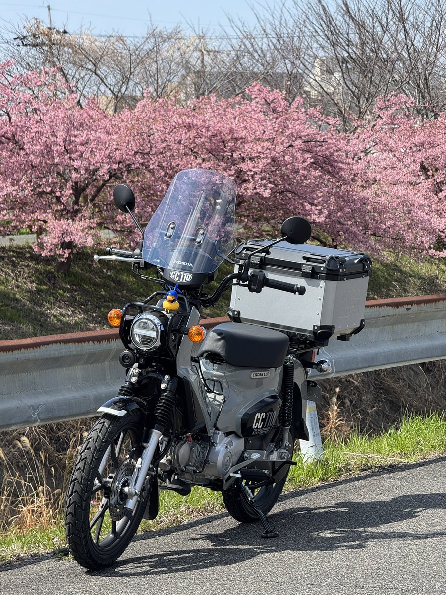 近所に春探しの散歩