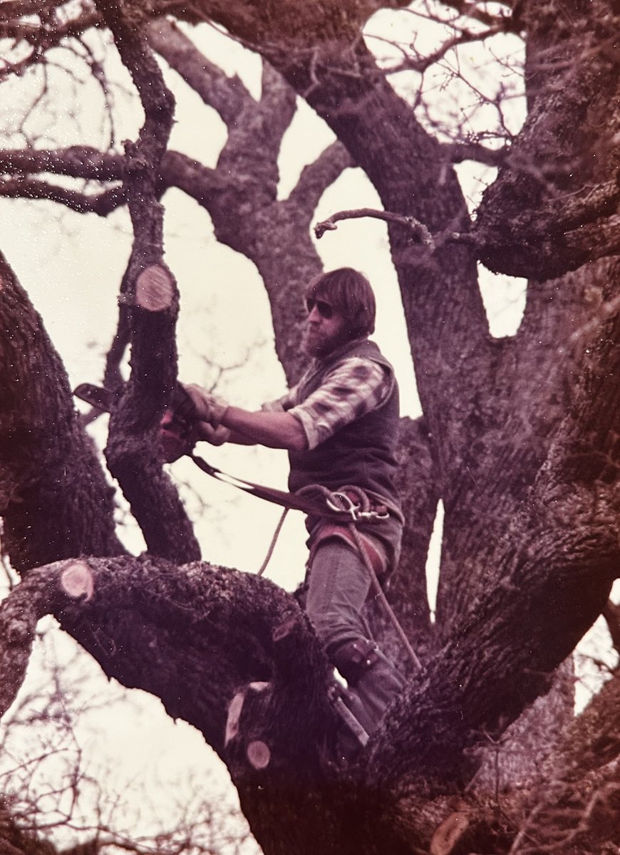 Yesterday I met with someone who represents the top 3 most dangerous jobs: loggers, electricians and commercial fishermen. My did was the first two of the 3. I remember for a while we hung ropes in the tree in our back yard and I would come home after school and hook myself in