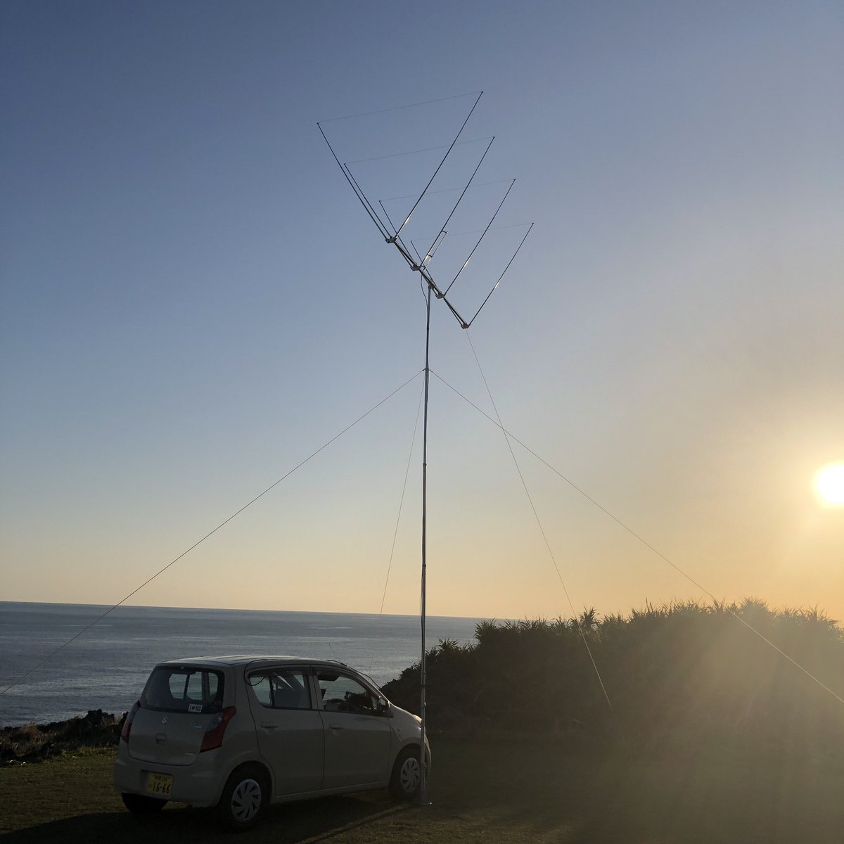 Hinokimoto tweet media