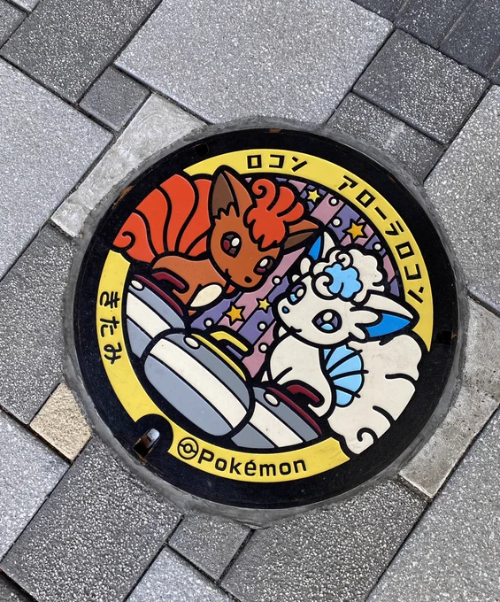 これは前回北で撮ったロコンちゃん