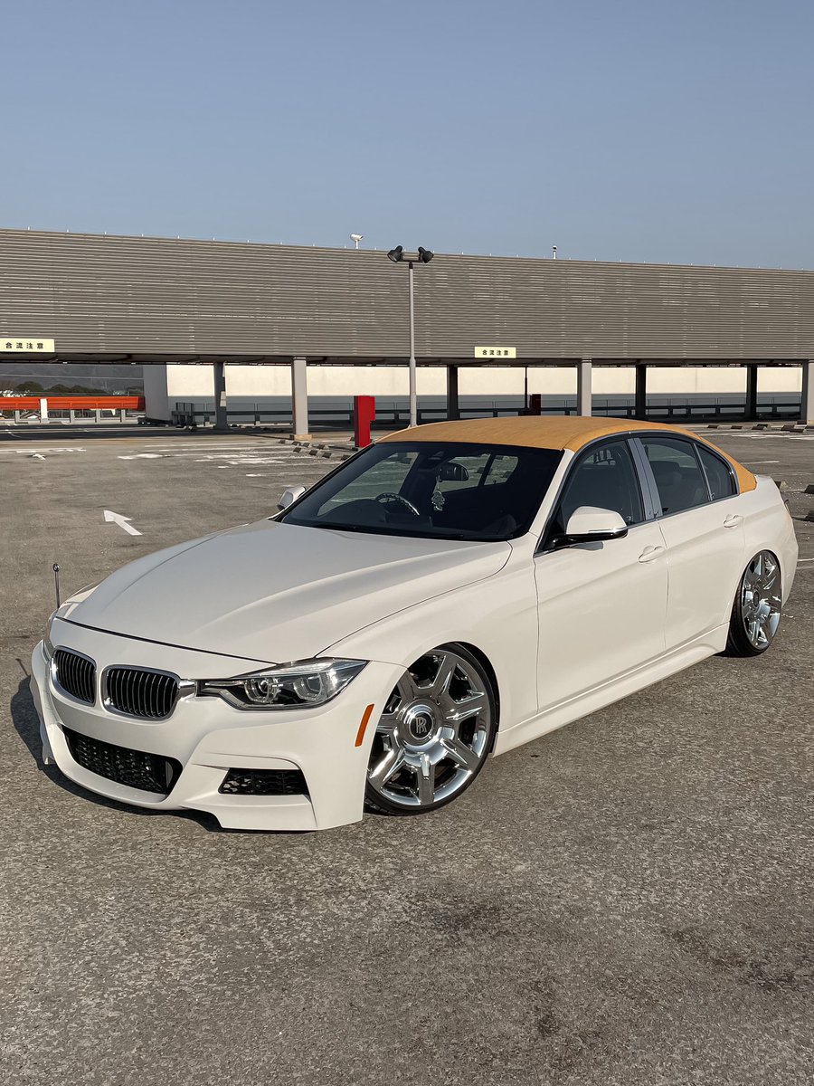 わさお🐶 (@Wasao0038) / Posts / X