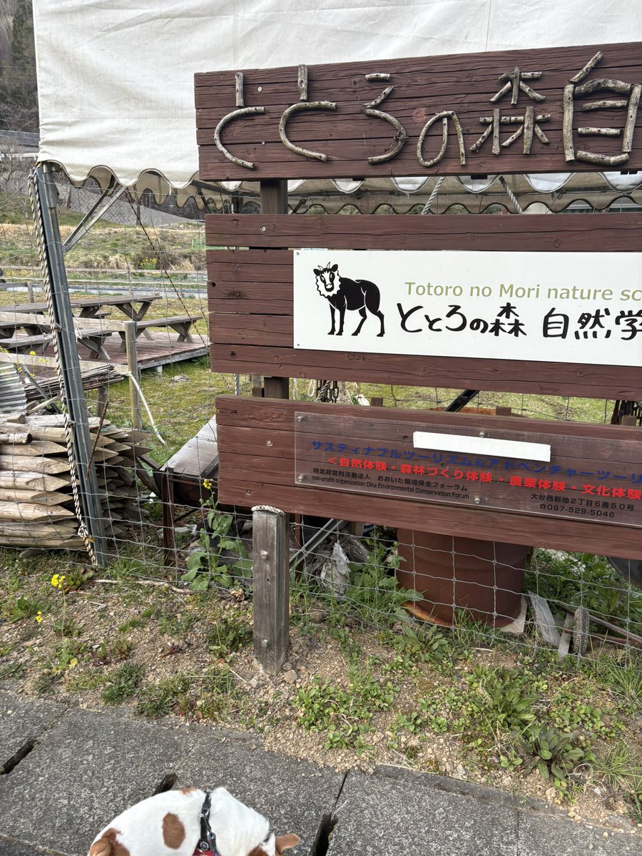 IketeruCasillas's tweet photo. SEIDO フューエルボトル入れやすくてコスパ良くていい。
燃料入れてからのワンコの散歩！
ととろの森自然学校が気になる

#SEIDO
#キャンプ好きと繋がりたい https://t.co/e1VyinKpfl