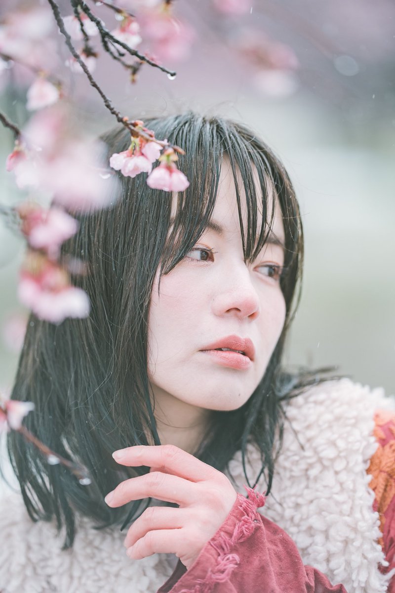 雪の桜