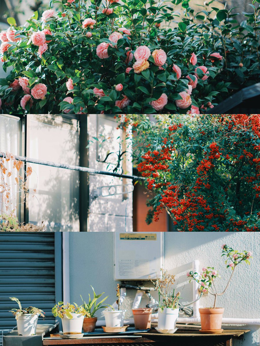 hinamin012's tweet image. life