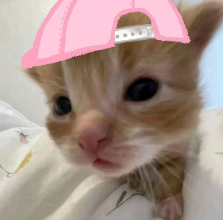 small cash giveaway || 4 winners of ₱5 😋

—rt
—komint "cute mo @moon_junhui13"

ends: mamaya na