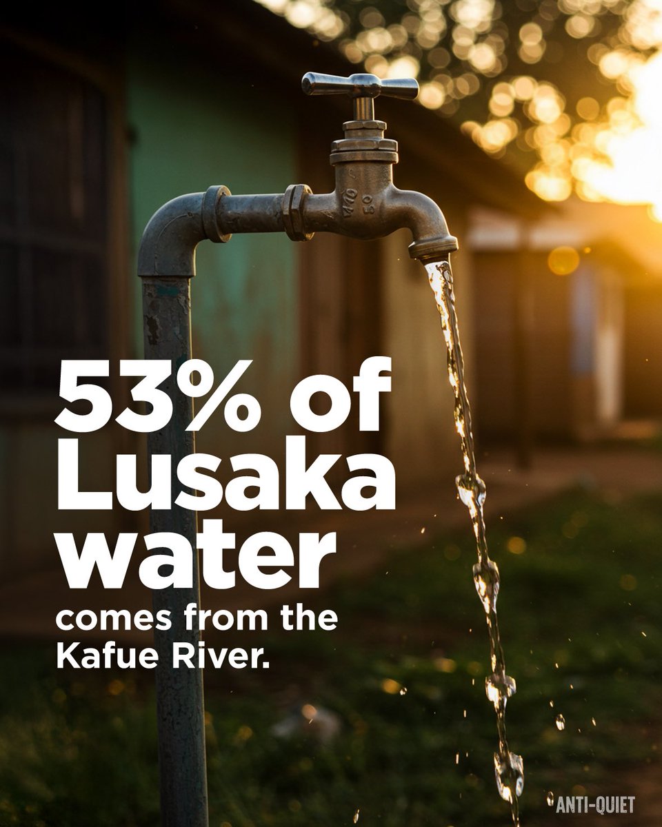 AbelBlackZm's tweet photo. What you might not know about the Kafue https://t.co/ga0zz0YIcQ