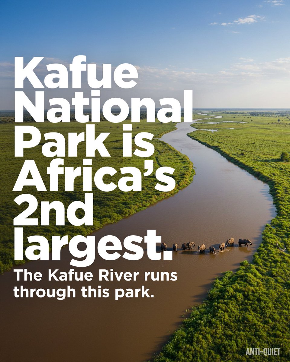 AbelBlackZm's tweet photo. What you might not know about the Kafue https://t.co/ga0zz0YIcQ