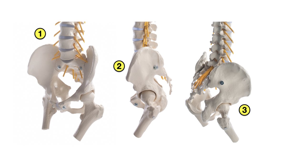 Sprint Science (@spikesonly) on Twitter photo Spanish GOLD!
One of the best studies in reducing injuries in the wild can be found below. Get a pot of coffee, some highlighters, and notepads, and print this paper out this weekend.
Another gem from <a href="/zentrumsport/">ZENTRUM SPORT</a> is available.
tandfonline.com/doi/full/10.10… Spanish GOLD!
One of the best studies in reducing injuries in the wild can be found below. Get a pot of coffee, some highlighters, and notepads, and print this paper out this weekend.
Another gem from <a href="/zentrumsport/">ZENTRUM SPORT</a> is available.
tandfonline.com/doi/full/10.10…