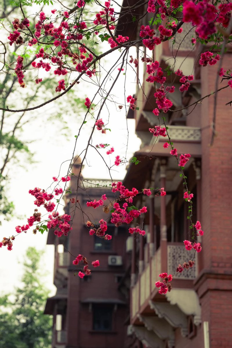 Lovandfear's tweet image. I wrote a complete book with a pen that had no ink.