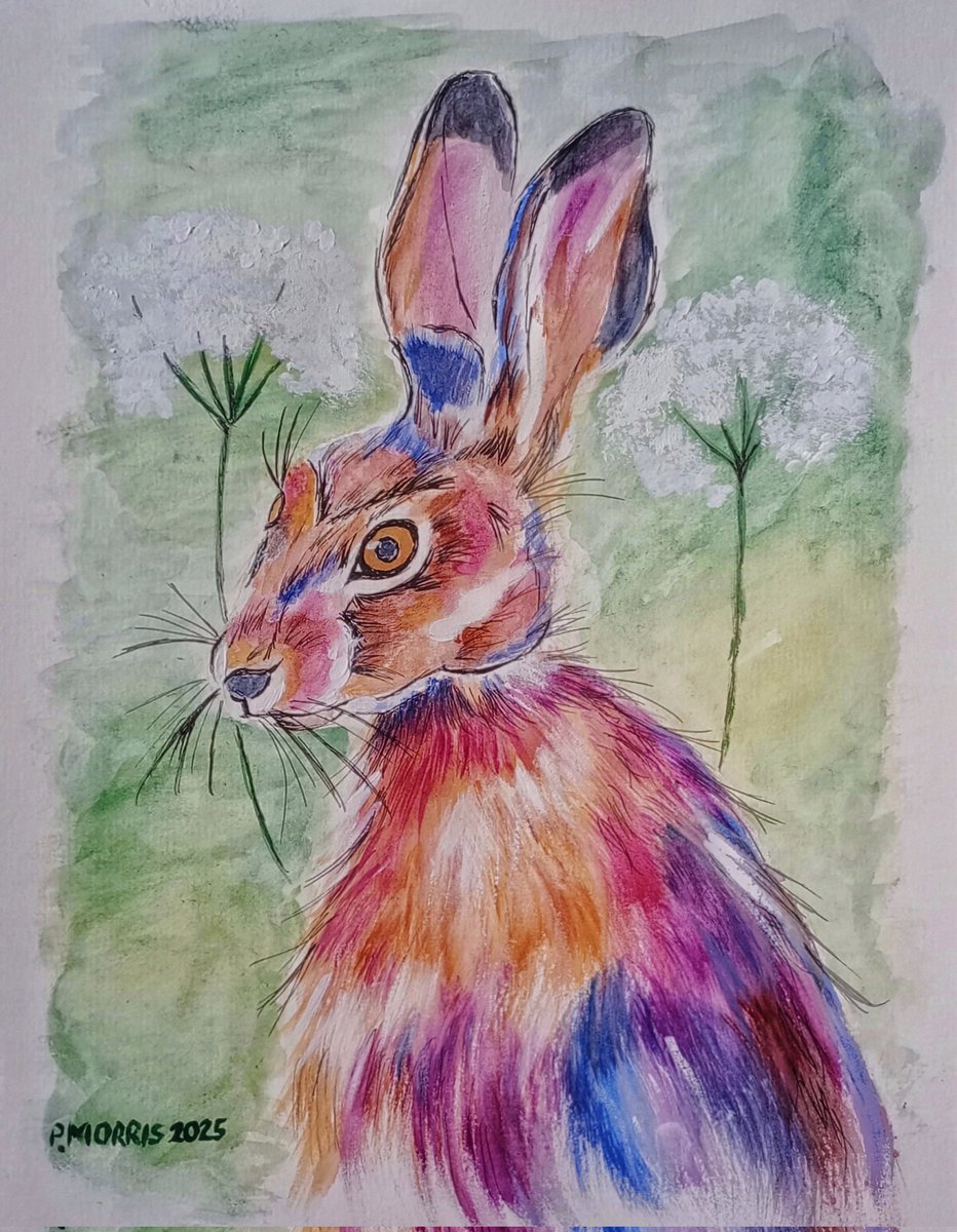 Hello 👋. We have two new hare artworks. Both different styles, but both my own work. I'm just trying to decide whether to list them in the shop... Take care and have a good day.

#UKGiftAM #MHHSBD #OriginalArt #SundayFringe #CraftBizParty