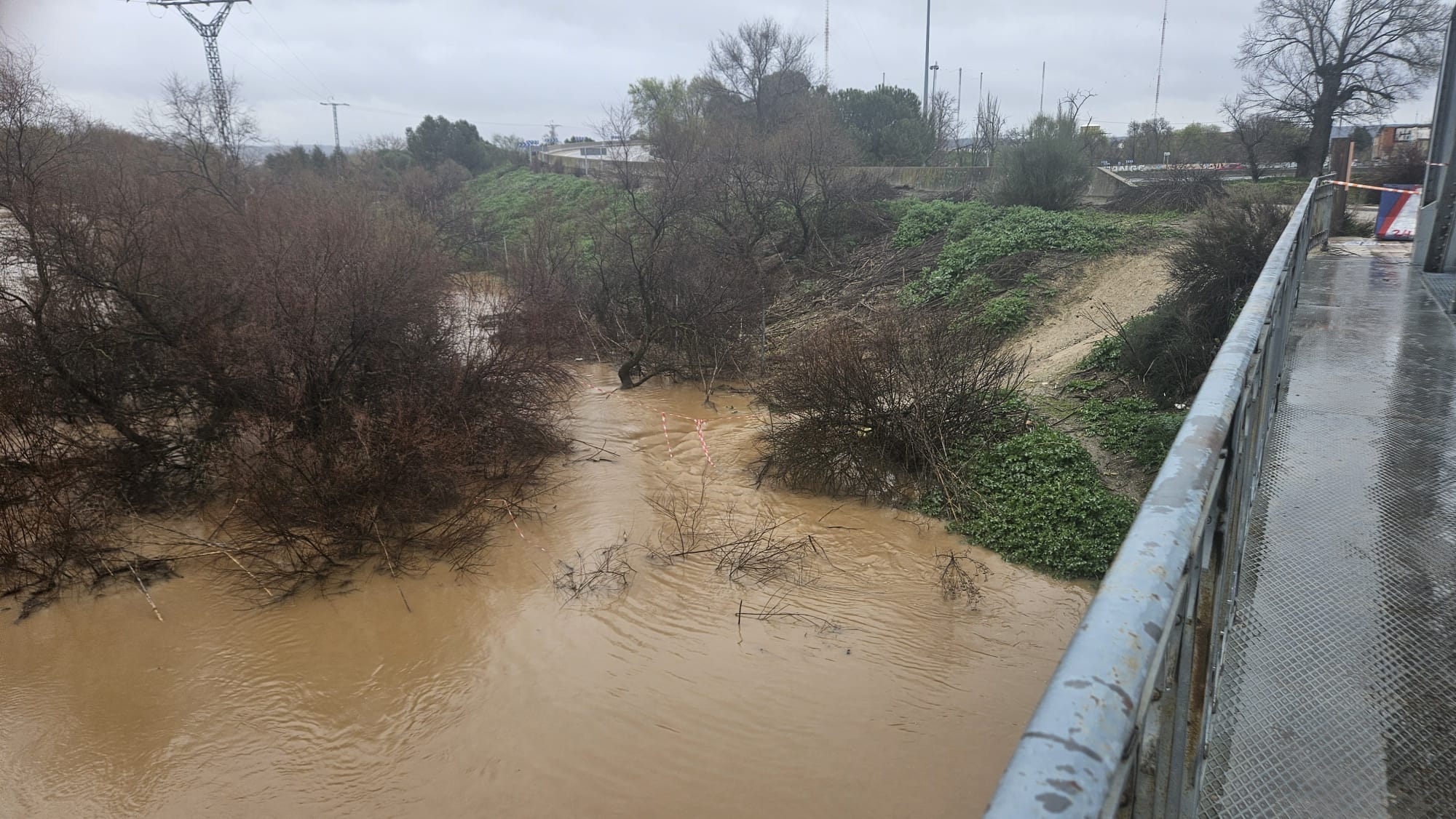 Foto cedida por Ayuntamiento de Rivas