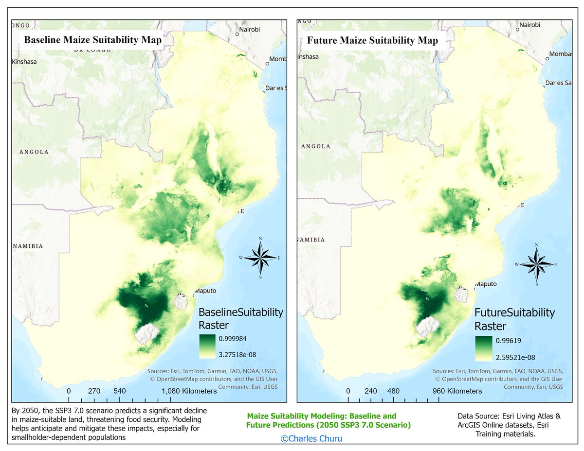 C4708911Charles's tweet image. 🌍🌾 Climate change is shrinking maize-suitable land in Sub-Saharan Africa by 2050 under SSP3 7.0. Using the Presence-Only Prediction (MaxEnt) tool in ArcGIS Pro, we can model and plan for future food security. #ClimateChange #FoodSecurity #GIS