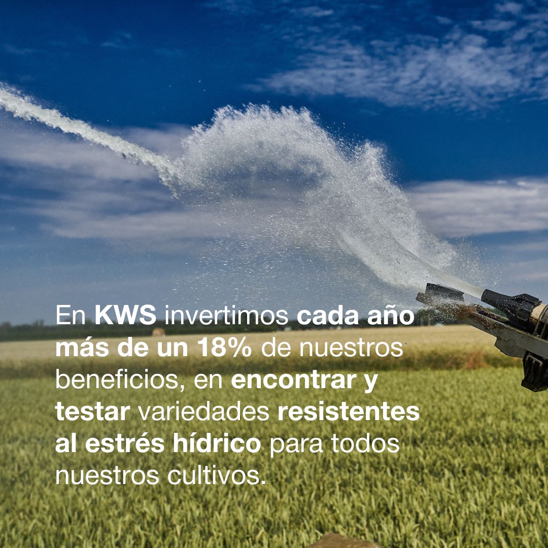 💧¡Feliz día internacional del agua! 🌱
#TuAliadoEnSemillas #KWS #España