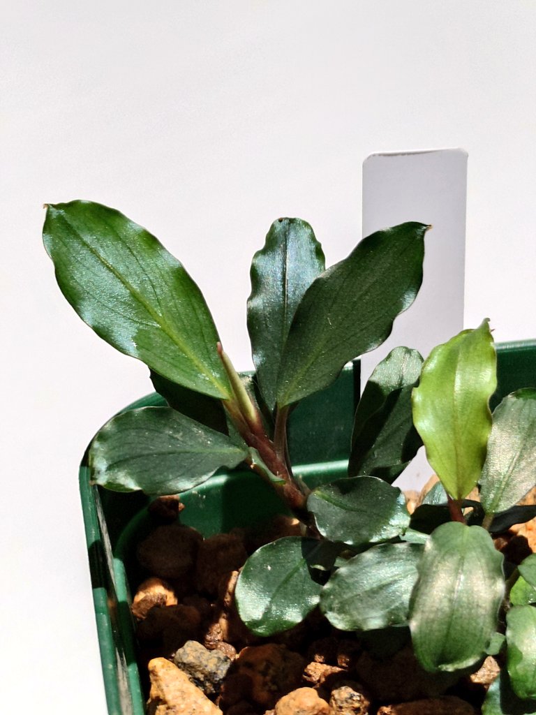 GmovBPtbgAAW1Uc.jpg?format=jpg