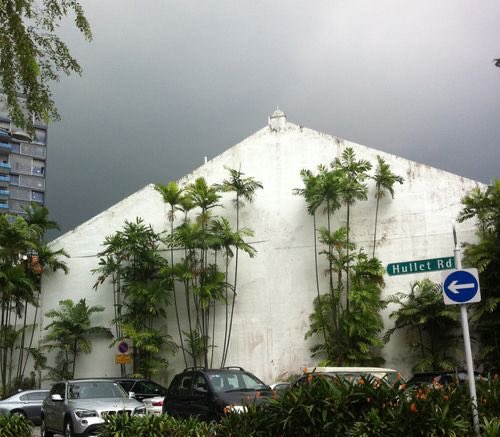 Tree (@4__iu) on Twitter photo 