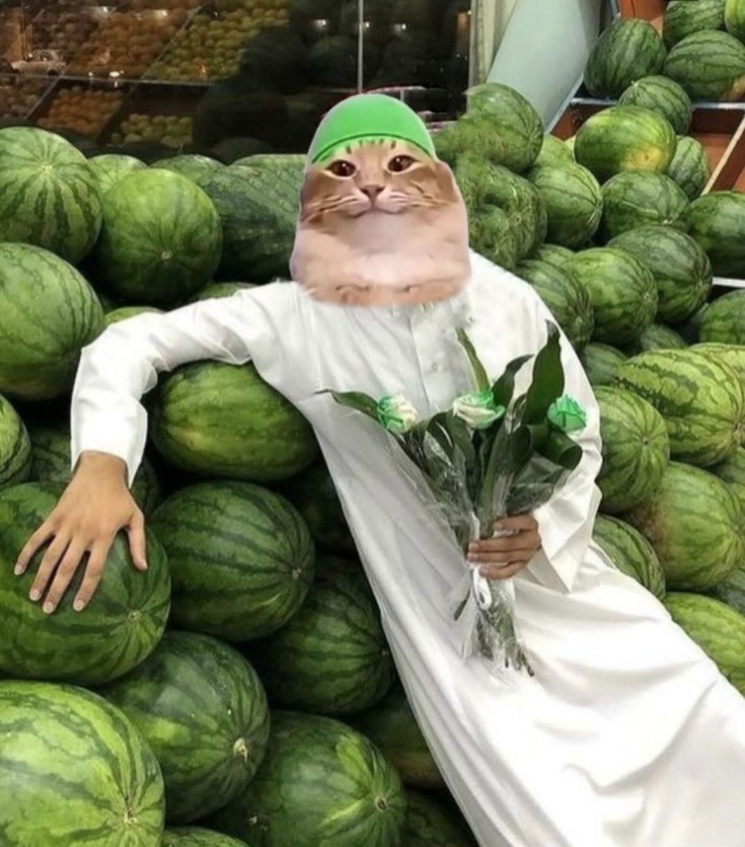Just chilling with my melons