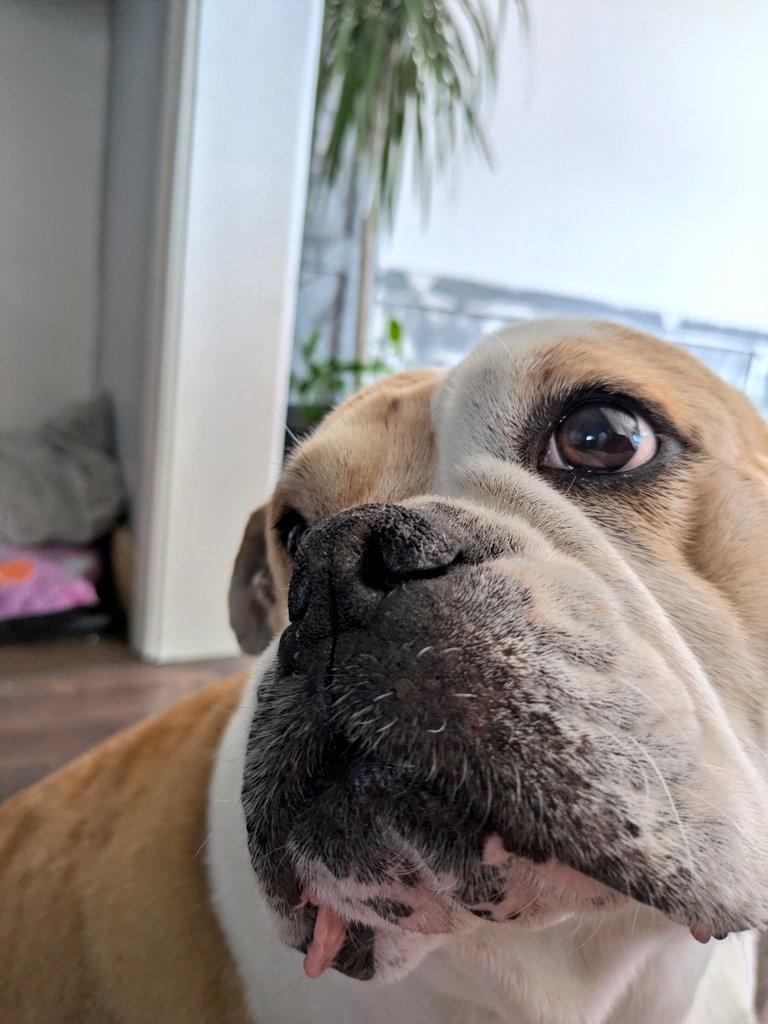 alfie (@alf2swag) on Twitter photo 