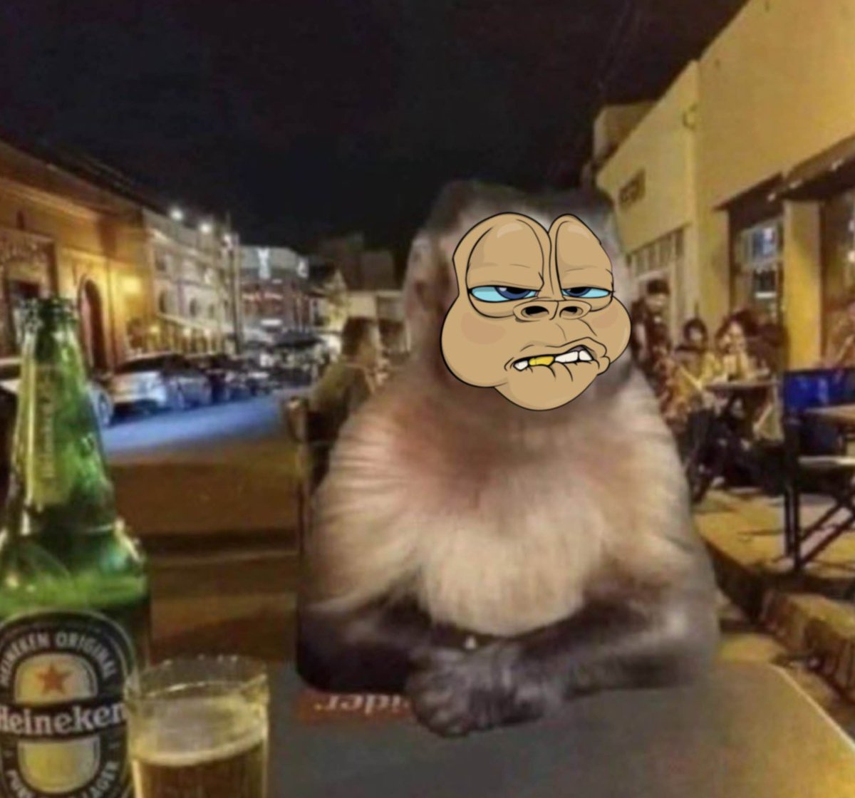 Drowning Apes tweet media