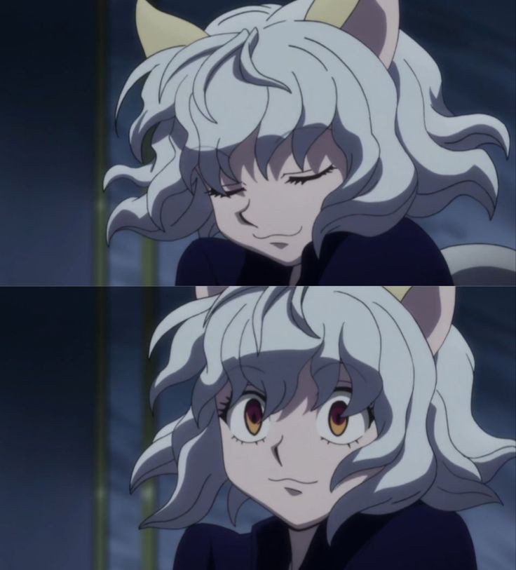 Daily Neferpitou (@daily_pitou) on Twitter photo 