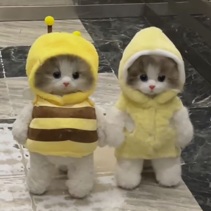 awboyy_'s tweet photo. 💛 https://t.co/vx6x12q1rF