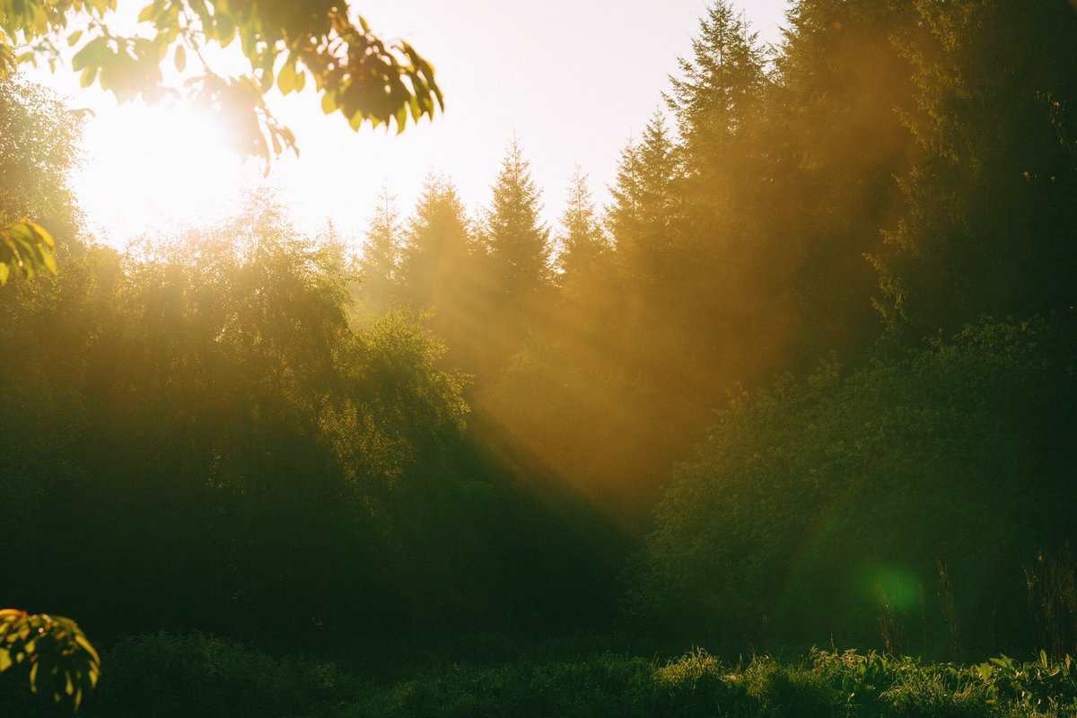 Daniel Casson tweet media