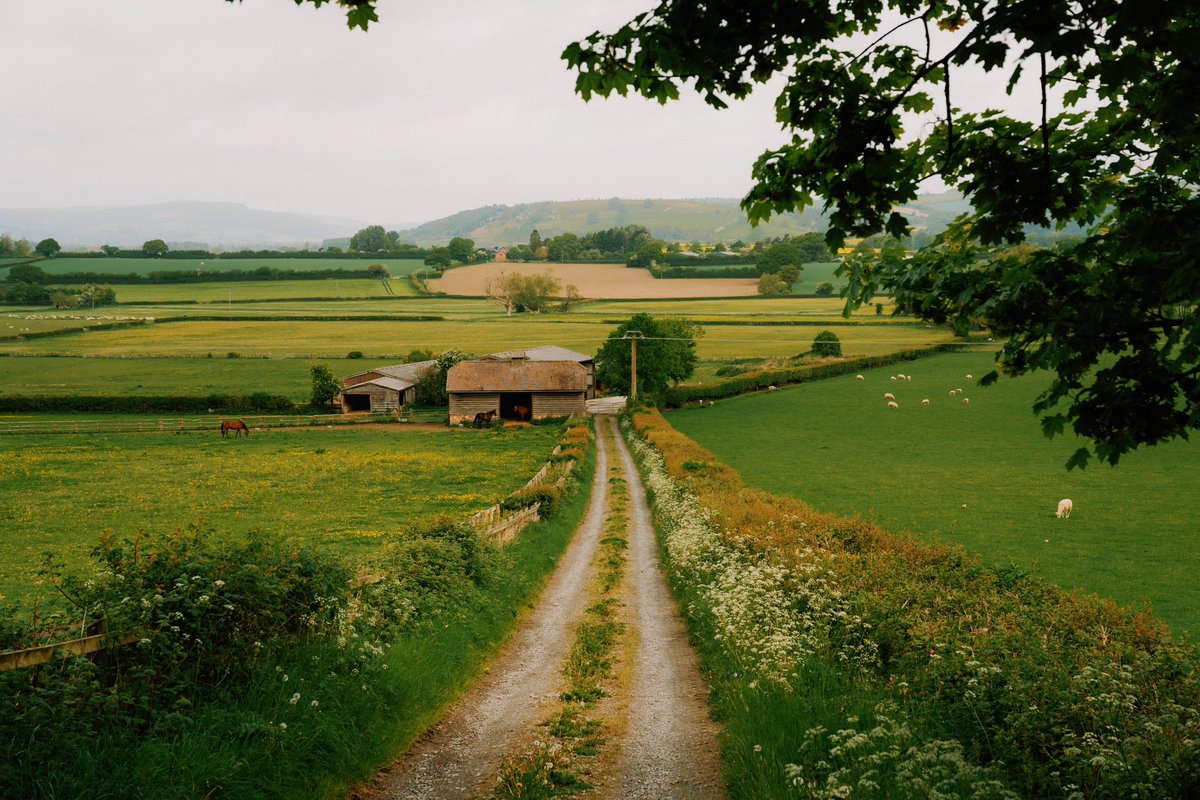Daniel Casson tweet media