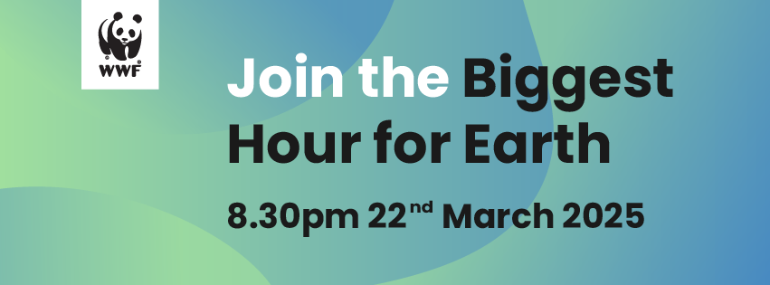 The National Wallace Monument tweet media