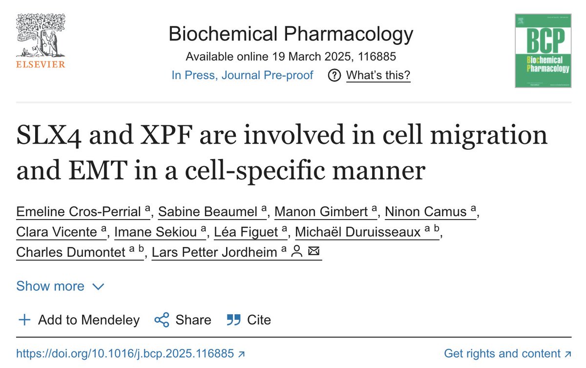 🥁 hot of the press
new piece of work from our Lab 
SLX4 and XPF, two proteins involved in DNA repair, are involved in pro-tumoral properties, and may be interesting targets in solid tumors
🙏  <a href="/Liguecancer69/">Ligue cancer Rhône</a>
article available 👇

sciencedirect.com/science/articl…
<a href="/crcl/">Cancer Research Center of Lyon</a> <a href="/CHUdeLyon/">HCL - Hospices Civils de Lyon</a>